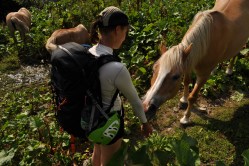 ...hauskoja heppoja...