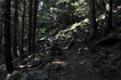 Matkalla ylös kuljimme halki peikkometsän...