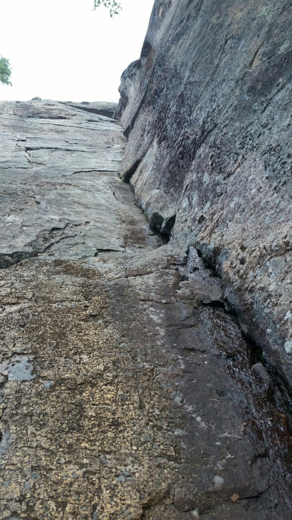 Sammalränni, mennäkö vai eikö mennä..