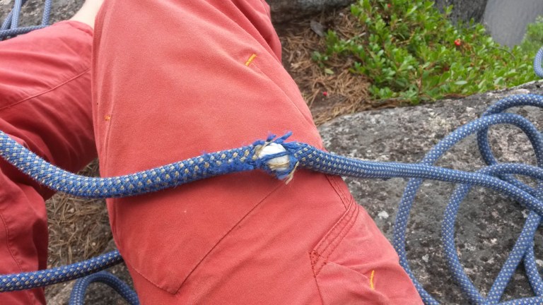 Köydestä ei Ella-koiran hampaissa jäänyt paljon jäljelle..  