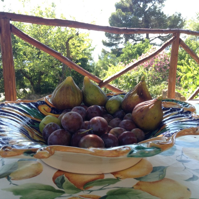 Näitä sai Ageiturismo Cucassa keraillä puutarhasta suoraan puista niin paljon kuin jaksoi syödä. Oikeat viikunat on taivaallisia!