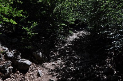 ...ja välillä rehevämpää...