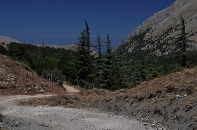 Välillä vähän...