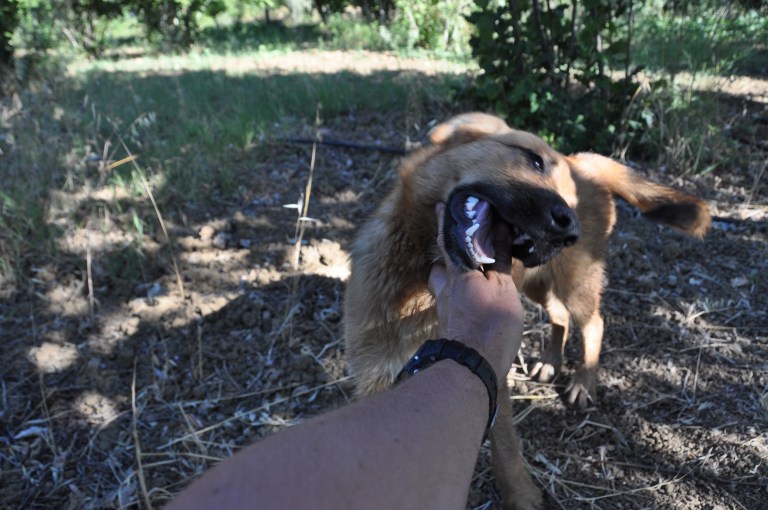 Ja ihan loppuun kahjo-Nesbola suosikki touhussaan...