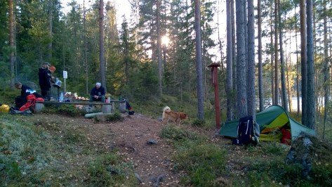 WP_20151010_16_28_56_Pro