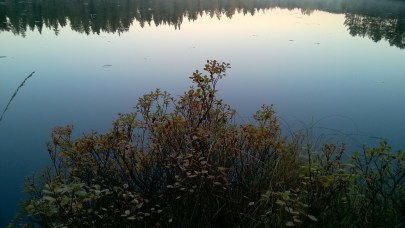 WP_20151011_07_54_56_Pro