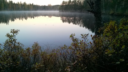 WP_20151011_07_55_13_Pro