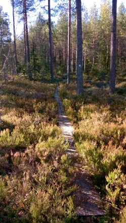 WP_20151011_10_57_06_Pro