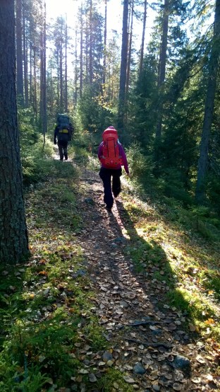 WP_20151011_11_06_15_Pro