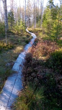 WP_20151011_11_33_17_Pro