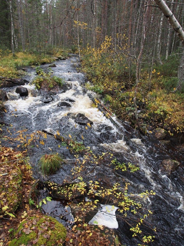 Kellojoen keskivaiheila on isompi kivinen kosken porras. Hyvin kivinen paikka vaikka suoraa linjaa voikin laskea. Siis näillä vesillä, mutta kesällä varmasti hyvin kuiva.
