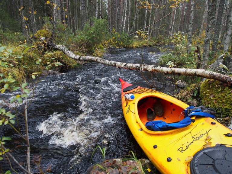Suurin matkan hidastaja Kellojoella on kaatuneet tai kaadetut puut. Joki on sen verran kapea, että runkoja oli paljon. Moniin paikkkoihin niitä oli selkeästi laitettu silloiksi.