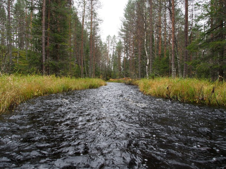 Salakkolampien jälkeen joki muuttui hieman leveämmäksi ja samalla tietysti matalammaksi. Pudotusta Lavanjärveen on lyhyellä matkalla aikalailla ja meno oli melkoisesti pohjan pikkukiviä viistävää. Ei tahtonut löytyä tarvittavaa syvyyttä. Kesällä varmasti vedettäviä pätkiä. Pohja on kuitenkin suht tasainen eli kävely on helppoa.