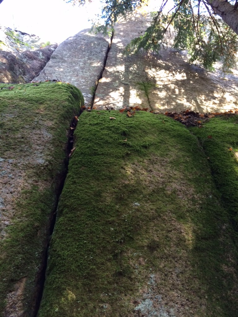 Hyyppivuorelle pitäisi mennä ajan ja harjan kanssa, tai sitten hankkia rautainen luotto sammaleen kitkaominaisuuksiin.