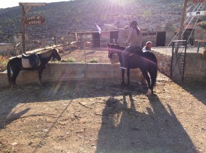 Ratsutilalla valmiina lähtöön, tuo pieni hevonen sai minut selkäänsä...