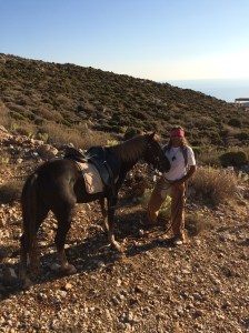 Tässä oppaanne oman kreikkalaisen työjuhtansa kanssa.