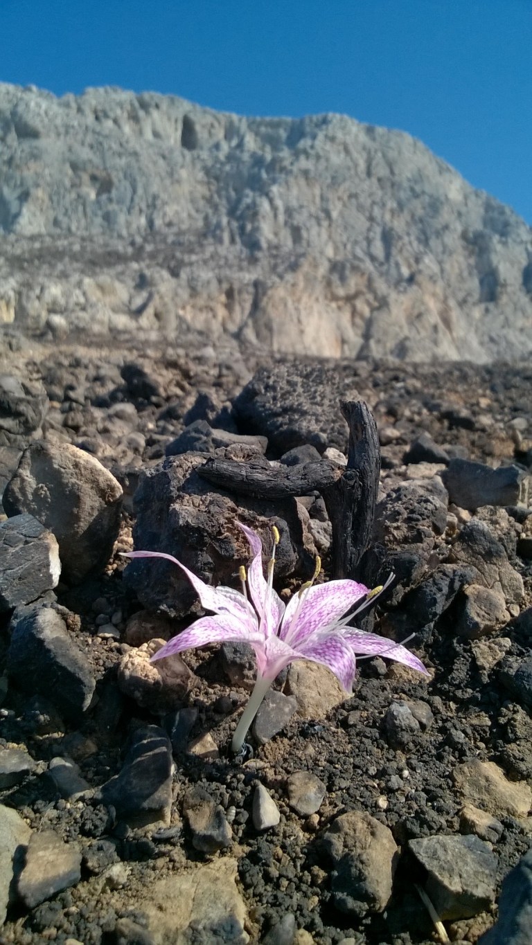 wp_20161001_15_10_30_pro