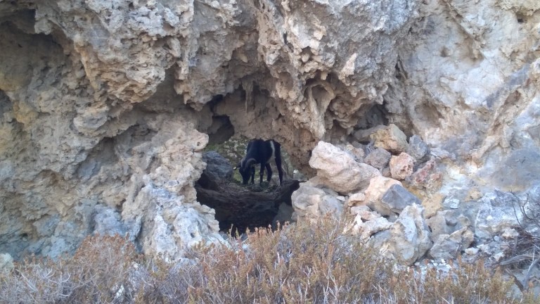 wp_20161004_16_38_42_pro