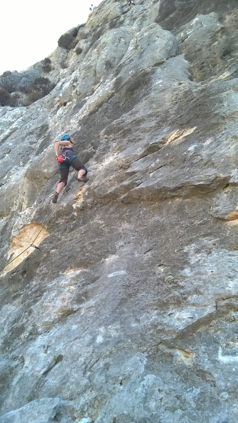 wp_20161005_12_59_38_pro