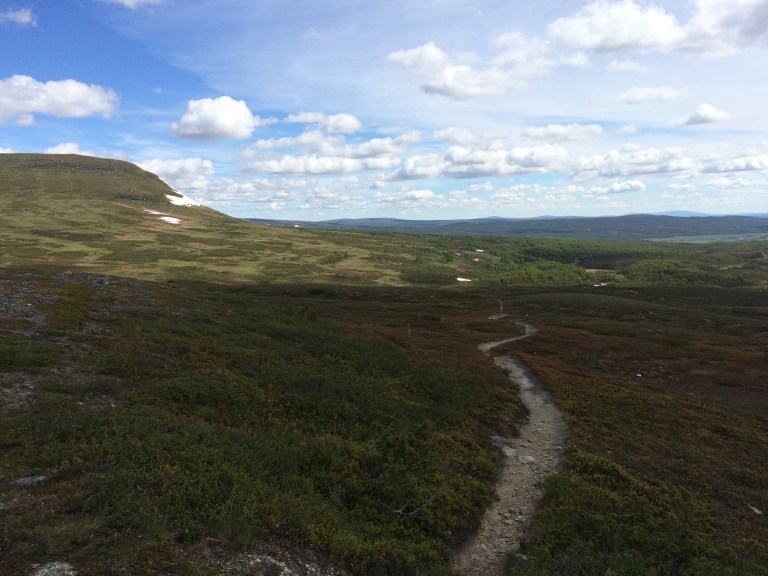 Mittåkläppen