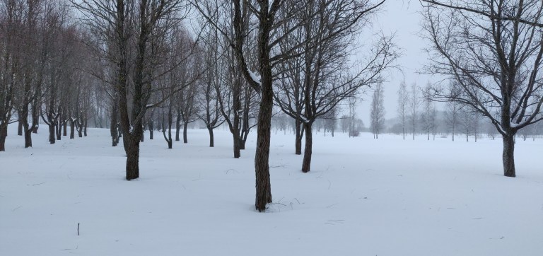 IMG_20190203_085351 1.jpg