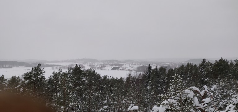 IMG_20190203_094848 1.jpg